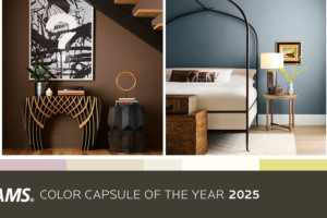 Reimagining Color of the Year with a Celebratory Palette