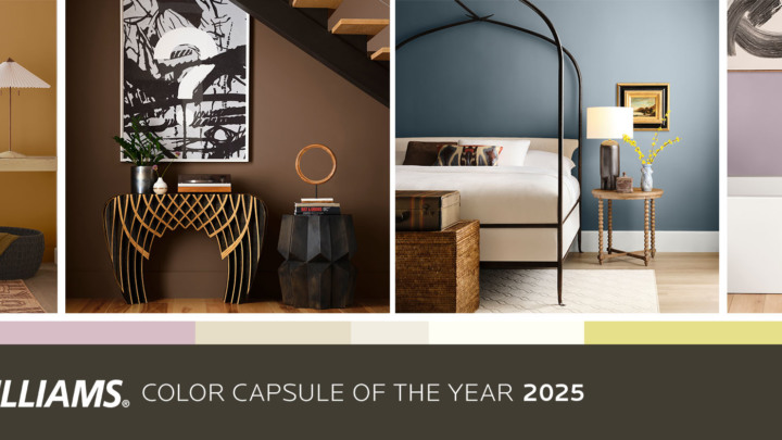 Reimagining Color of the Year with a Celebratory Palette